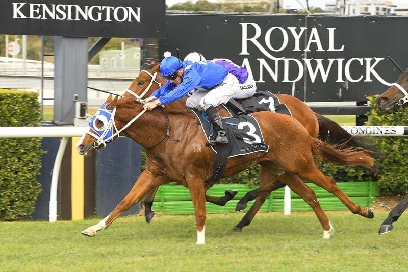 Kensington track at Randwick