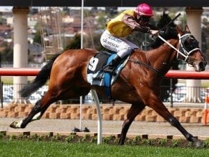Mornington Ansett Classic Day horse betting tips & best bets