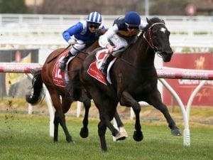 Night's Watch favourite for stakes debut