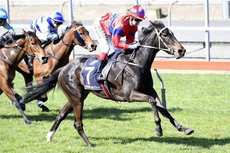 Verry Elleegant joins leading Victorian stable Horse Betting