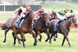 Guineas mission for Xpression