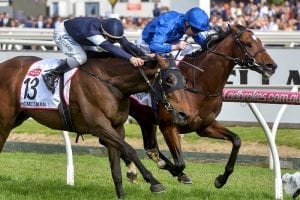 No Melbourne Cup penalty for Best Solution