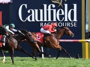 Brave Song back in form with Caulfield win