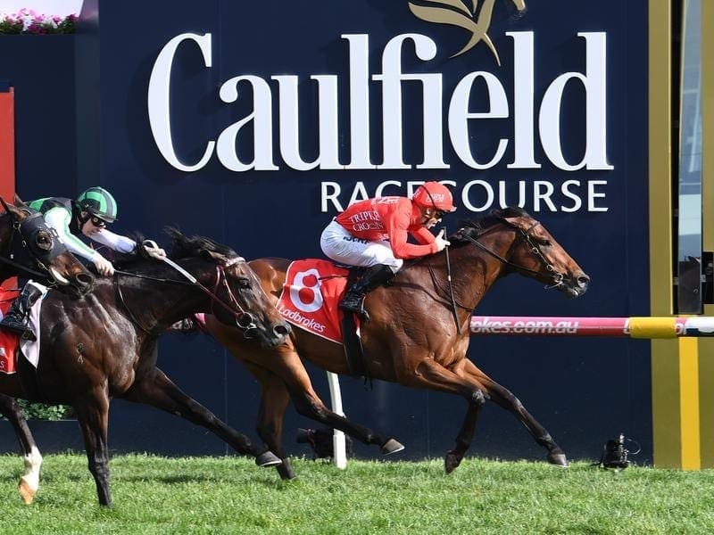 Brave Song wins at Caulfield.