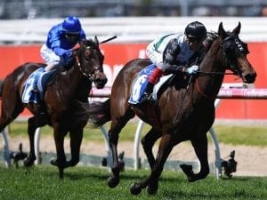 Champagne Boom takes out Debutant Stakes