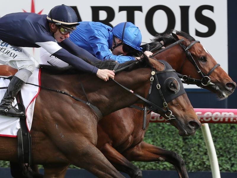 Best Solution (inside) beats Homesman in the Caulfield Cup.