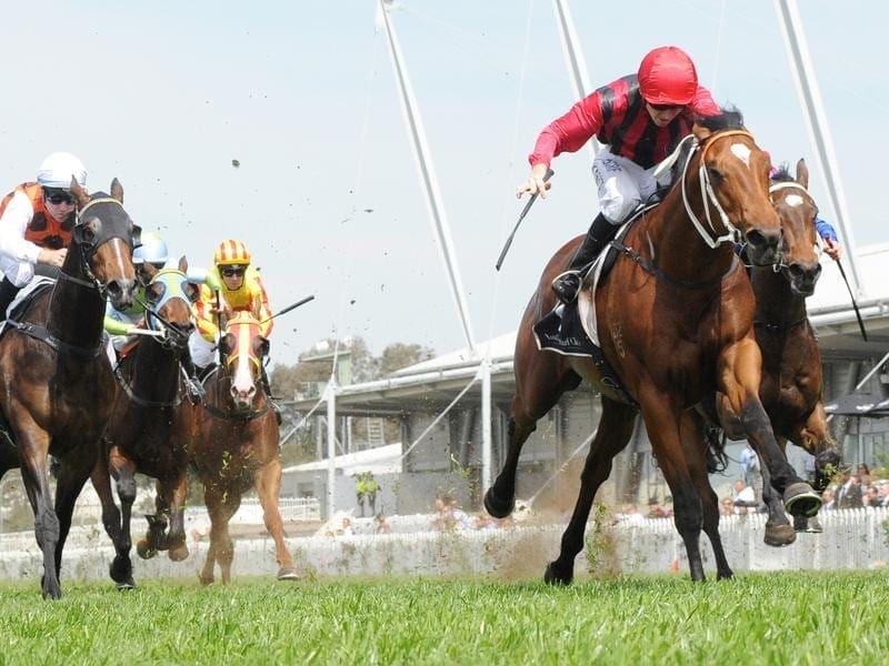 Trainer Kris Lees is looking for a big performance from Gem Song (r) in the Caulfield Guineas. gem song