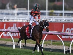 Caulfield & Thousand Guineas draw over 560 nominations