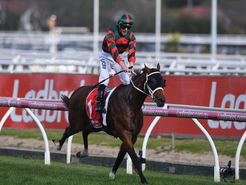 The Autumn Sun wins Caulfield Guineas