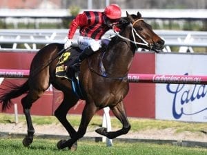 Smart Melody prevails again at Caulfield