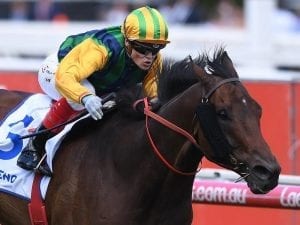 Ball Of Muscle to the fore at Caulfield
