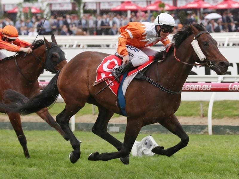 Sircconi wins at Caulfield.