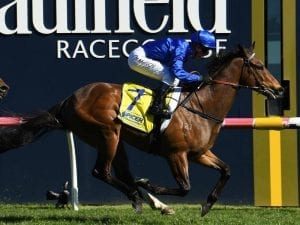Trekking too strong in Testa Rossa Stakes