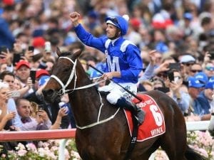 Winx's record win a moment to remember