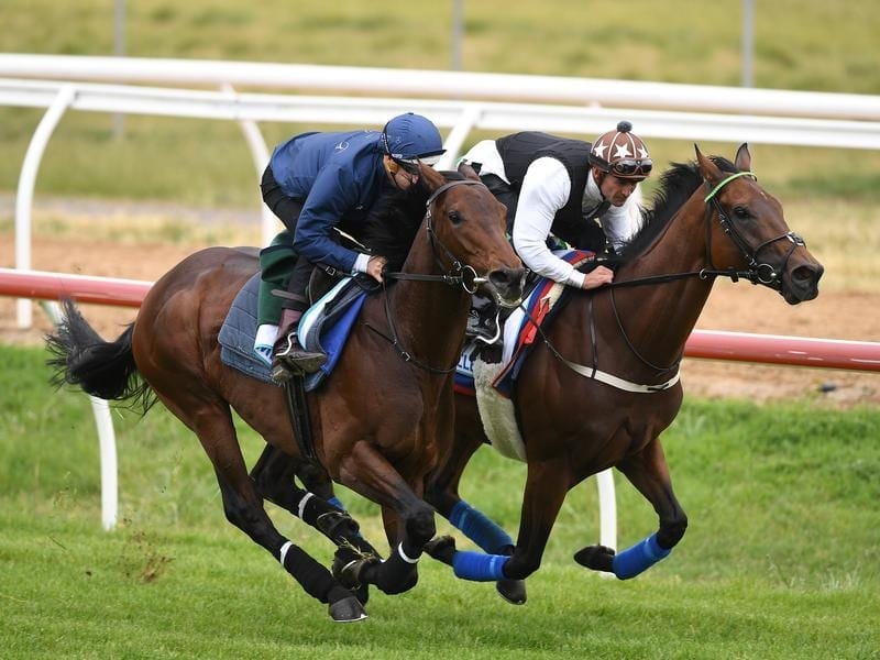 Marmelo (left) and Magic Circle gallop together.