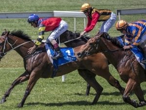 Queensland racing strike decision due