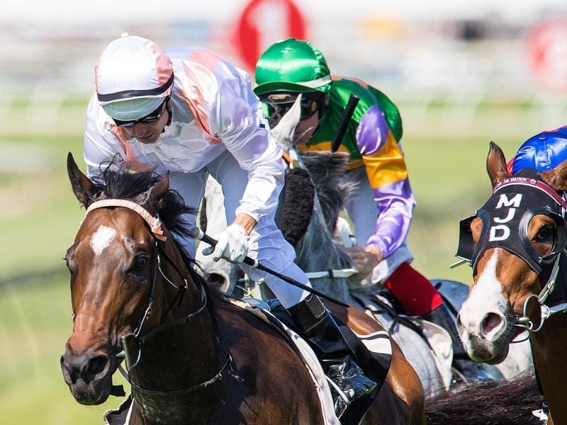 Fiery Heights wins at Doomben.