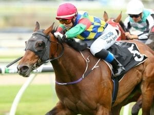 Qld trainer pushes for all-weather track