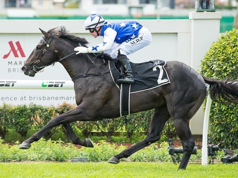 The Odyssey wins at Doomben.