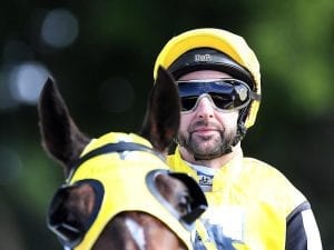 Cassidy to llink with Waller at Doomben