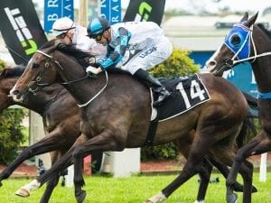 Racing Queensland announces $18 million prize money increase