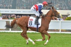 English-trained Duretto withdrawn from Cup