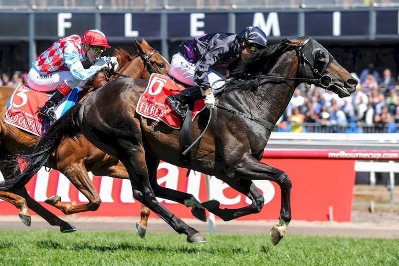 Los favoritos siempre ganan en una carrera de caballos