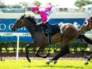 Queensland filly earns chance at G1 Flight