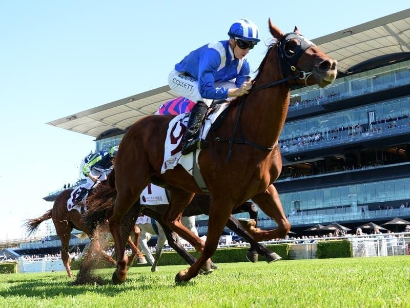 Trainer David Hayes is hoping Futooh can cause an upset in the Flight Stakes at Randwick. futooh