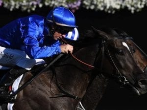 Melbourne Cup fav set to run in Cox Plate