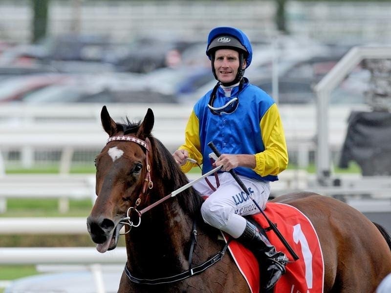 Multiple G1 winner Black Heart Bart has been retired to trainer Darren Weir's country property. black heart bart