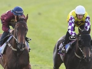 Waller to have strong chances in Coolmore