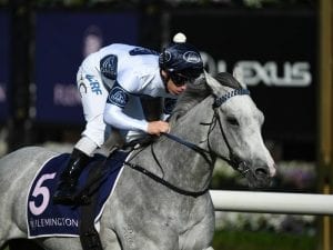 Greysful Glamour continues on Oaks path