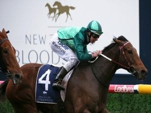 Humidor injury adds to Weir's Plate woes