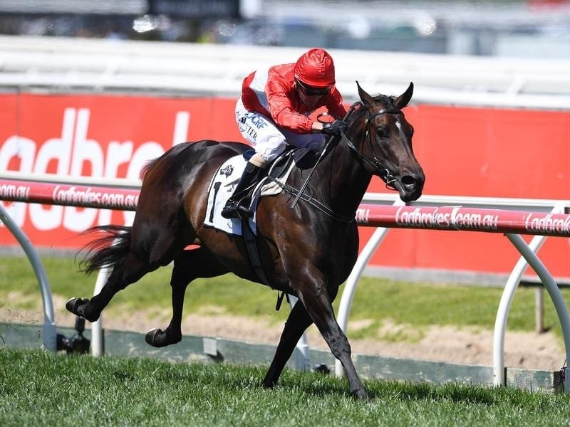 Stephen Baster will be reunited with Invincible Star at Randwick in her lead-up to The Everest. invincible star