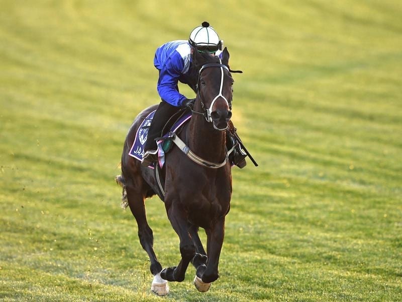 Jaameh will contest the Lexus Stakes.