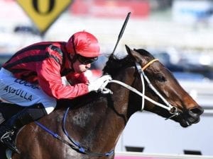 Smart Melody Guineas call in next 48 hours