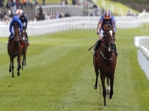 Valley waiting game for O'Brien pair