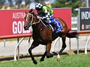 Waller's Port Mac Cup chance Exoteric