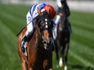 Redkirk to have a second Flemington trial