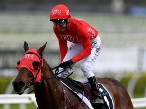 Fast facts about the TJ Smith Stakes