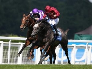 Roaring Lion to run in QEII at Ascot