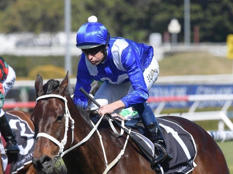 Winx couldhave 13 rivals when she attempts to defend the Turnbull Stakes at Flemington. winx