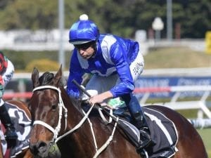 Winx headlines 14 nominations for Turnbull