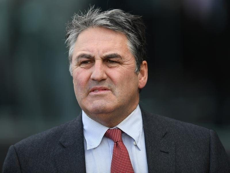 The Anthony Freedman-trained Ambitious is a confirmed runner in the Group One Underwood Stakes. anthony freedman