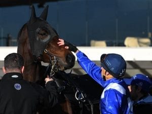 Four-time Cox Plate winner in awe of Winx