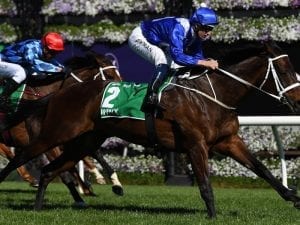 No signs of champion Winx slowing down