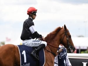 A look behind the G1 Coolmore Stud Stakes