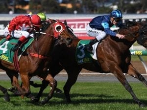 Moonlover snares first stakes race success