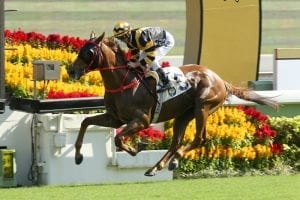 Sibling rivalry brewing as Glorious Forever rolls towards Hong Kong Cup